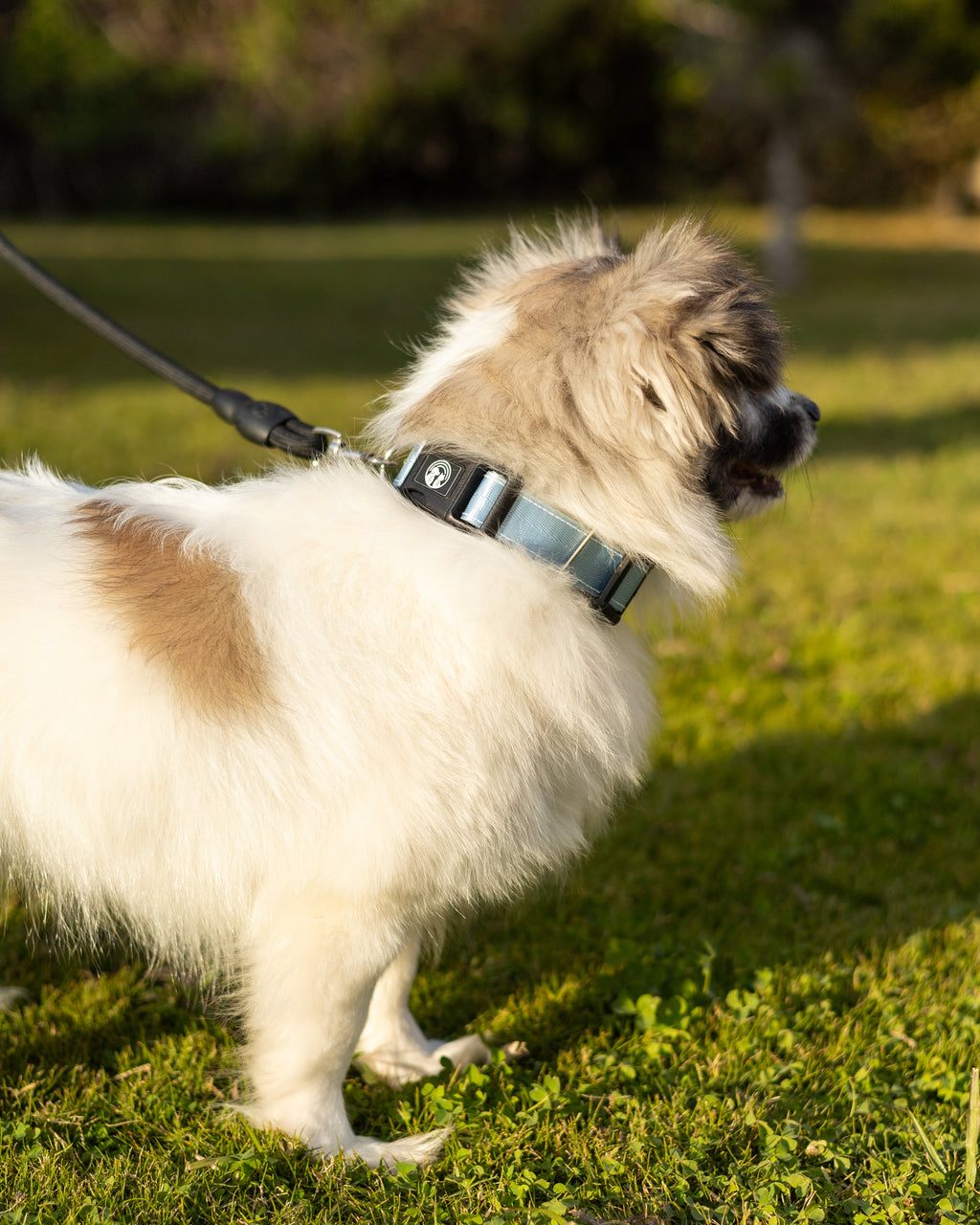 NFC Smart Dog Collar –  Blue