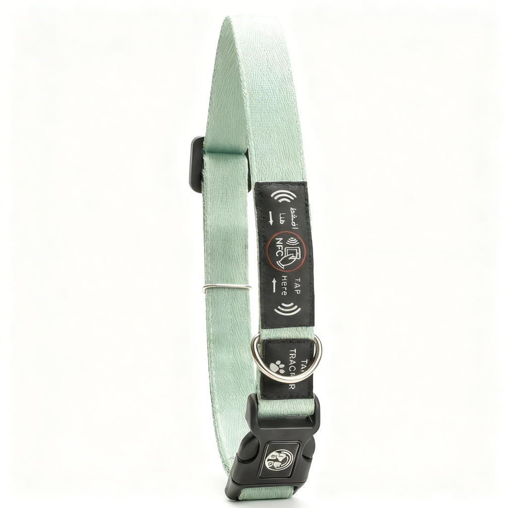 NFC Smart Dog Collar – Green